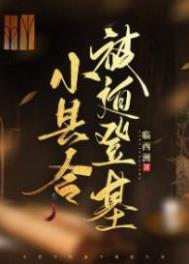 小县令被迫登基(基建)免费林西